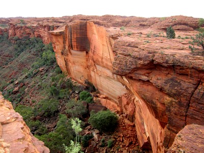 Standing on the rim of Kings Canyon