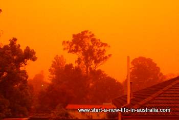 suburban Sydney skyline enveloped in red dust