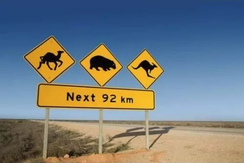 Kangaroo Warning Sign Australia Kangaroo Warning Sign Australia