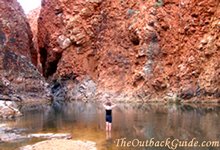Redbank Gorge Redbank Gorge