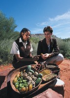 Learning about bush foods Learning about bush foods