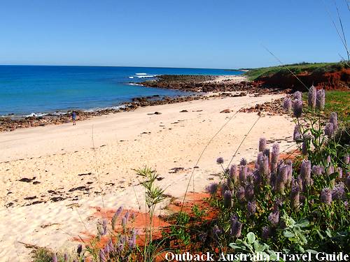 Broome Beach: Quandong, Western Australia Broome Beach: Quandong, Western Australia