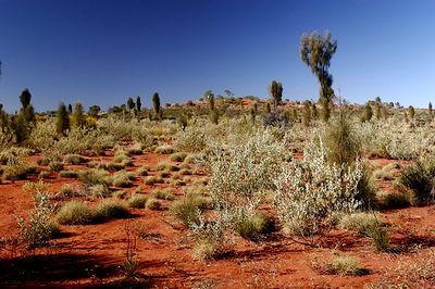Australian Outback Experience - Timelessness