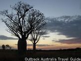 Boabs at sunset