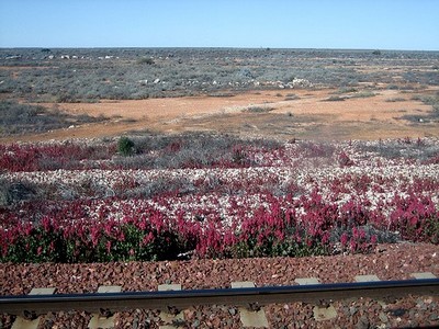 Railway across the desert Railway across the desert