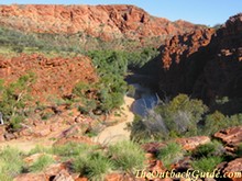 The East McDonnell Ranges - Alice Springs