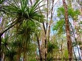 Kakadu Park