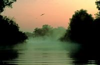 First morning light over Yellow Water billabong