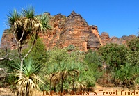 Beehive shaped sandstone formations, similar to those at Purnululu National Park.