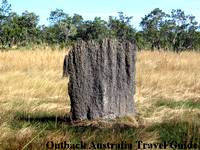 Magnetic Termite Mound