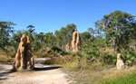 Termite Mounds Termite Mounds