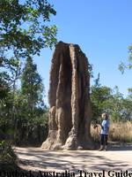 Cathedral Termite Mound