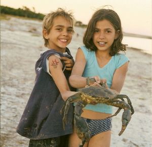 Mud crab