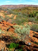 View from half way up Meyers Hill