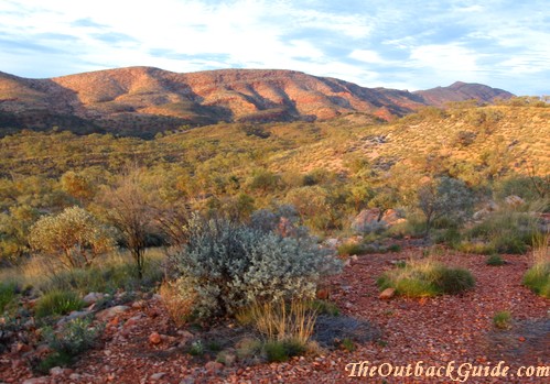 Near Alice Springs Near Alice Springs