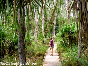 The walk to Maguk