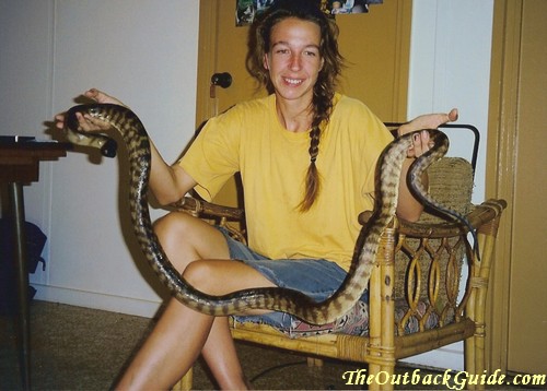 Holding a black headed rock python, one of the most beautiful Australian snakes