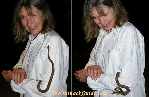 Mum with a little Children's Python