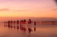 Sunset camel trek on Cable Beach in Broome