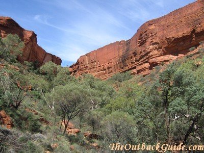 View from end of Kings Creek Walk