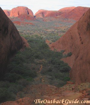 View from Olgas lookout Karingana