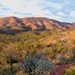 West MacDonnell Ranges