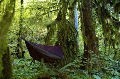 A Hammock Tent