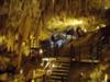 The caves in Dunsborough where the lillies are