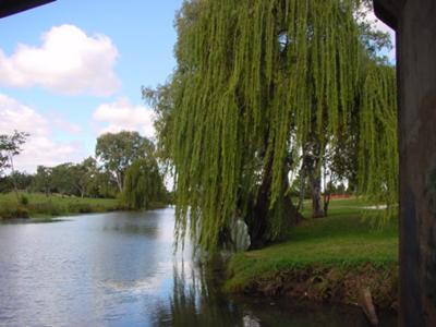 Condamine River Warwick