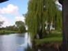 Condamine River Warwick