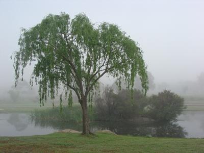 Quart Pot Creek